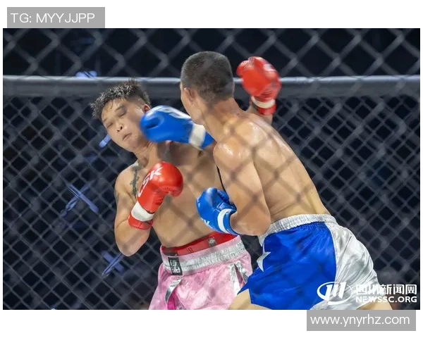 张开印与播求对决精彩视频解析两位搏击高手的巅峰对决瞬间